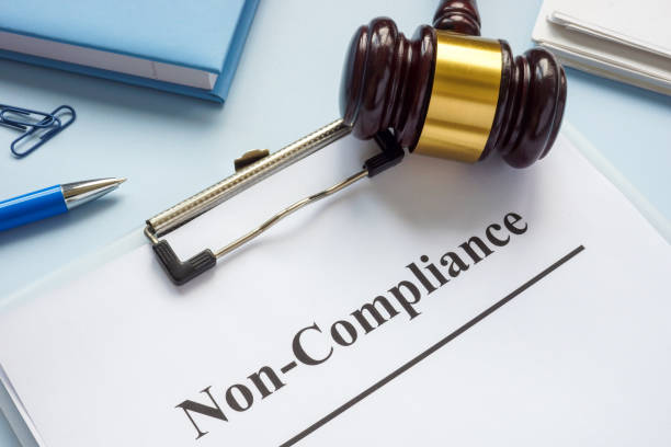 NGT litigation lawyers