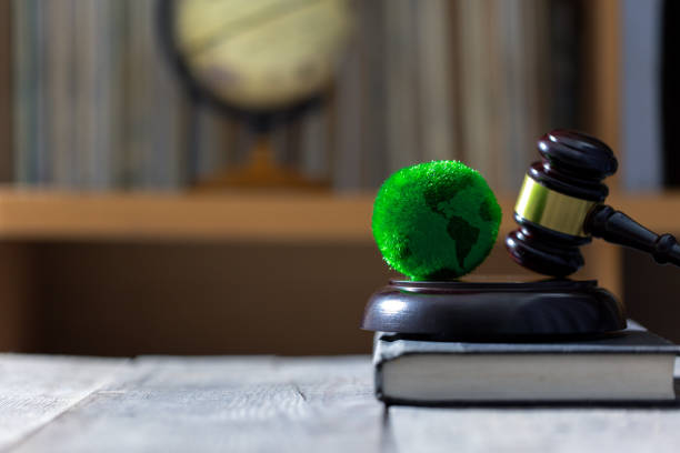 Environmental Due Diligence in Mergers and Acquisitions